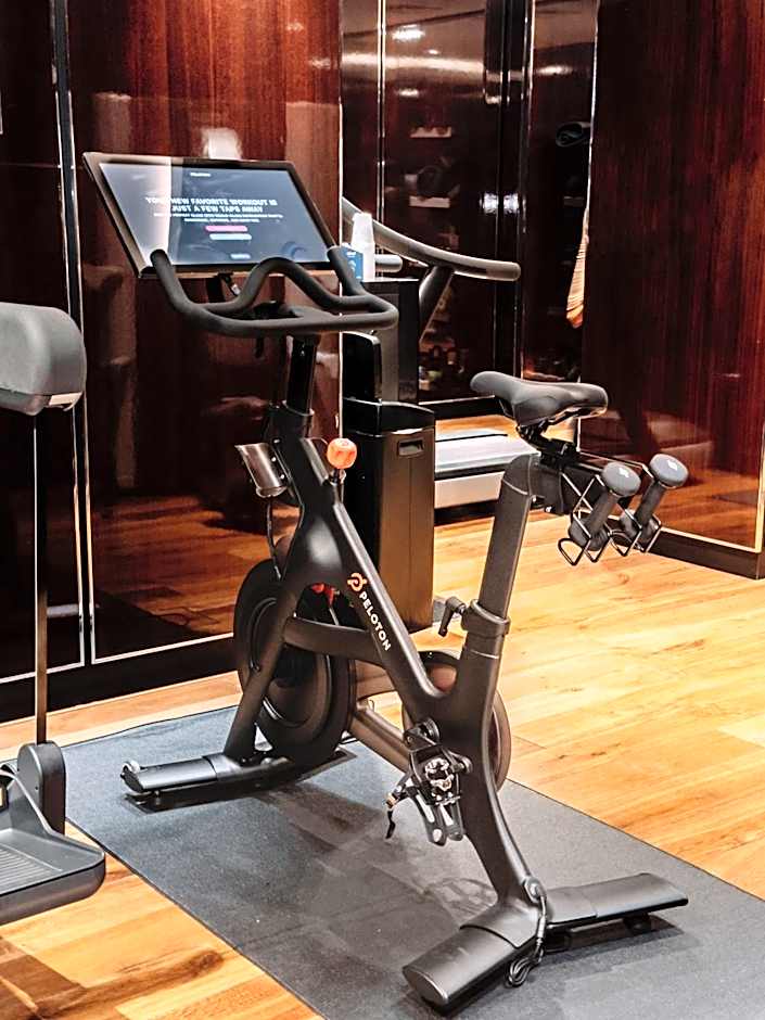 Hyatt Regency London Albert Embankment