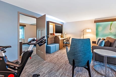 One-Bedroom Suite with Sofa Bed