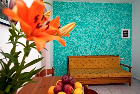 APARTMENT CAPACITY 4