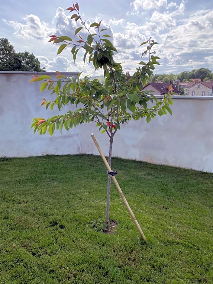 OLGA Chambre d'hote "Lili 2"