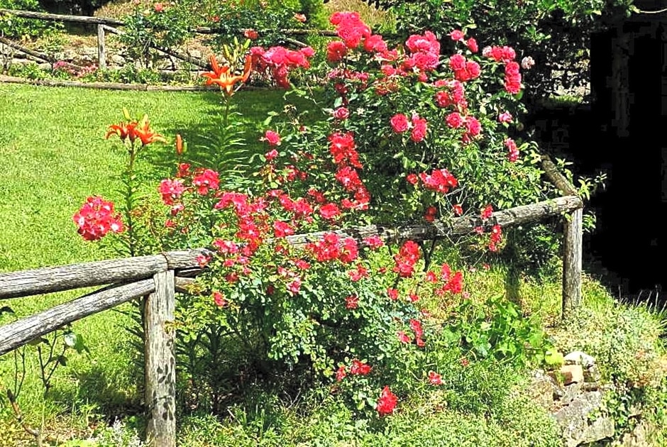 B&B Il Casale delle Pianacce