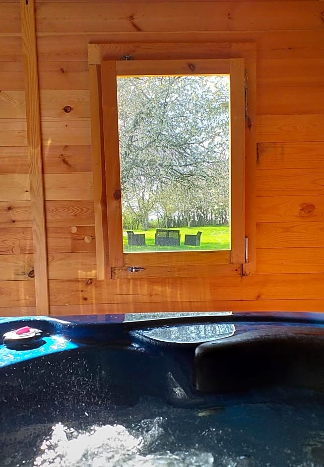 La BerryCurienne proche du Zoo de Beauval Saint-Aignan avec SDB, WC ET SPA PRIVATIF pour chaque chambre