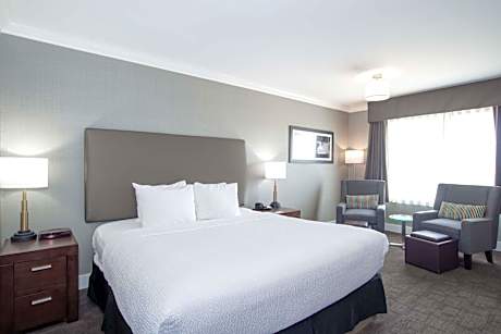 Standard Room, 1 King Bed, Sofa Bed