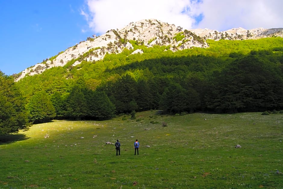 Tana Libera Tutti 1 Nature, Yourself, Love