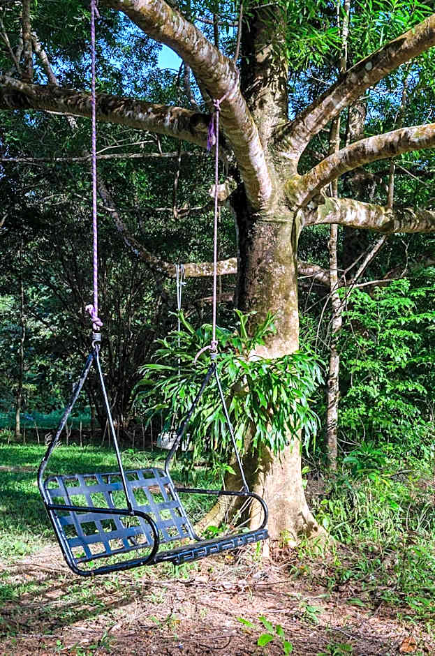 Epiphyte B & B