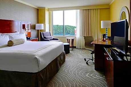 Room, 1 King Bed