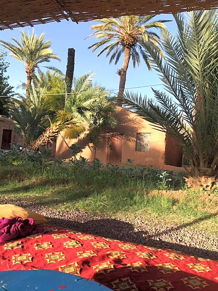 Bivouac Lot Of Stars