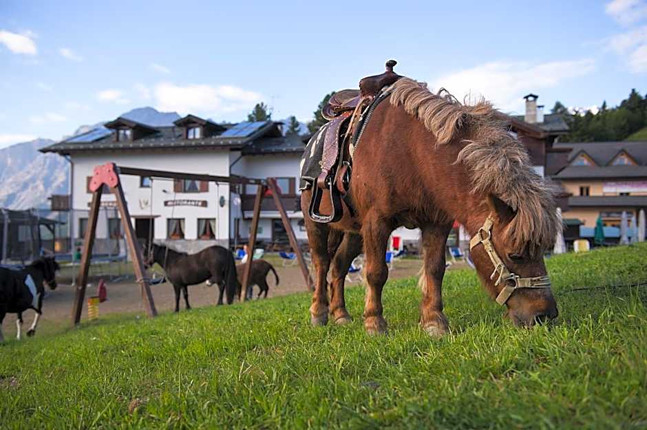 Hotel Gallo Cedrone