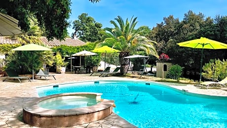 Santolines en Provence