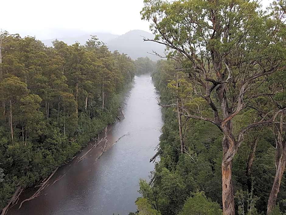 Tahune AirWalk Cabin and Lodge