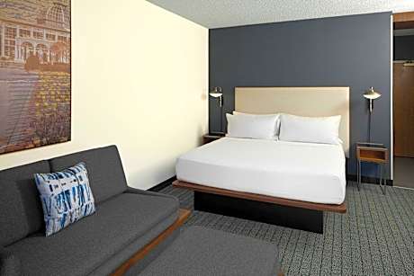 Room, 1 King Bed with Sofa bed (1 King Bed and 1 Double Sofa Bed)