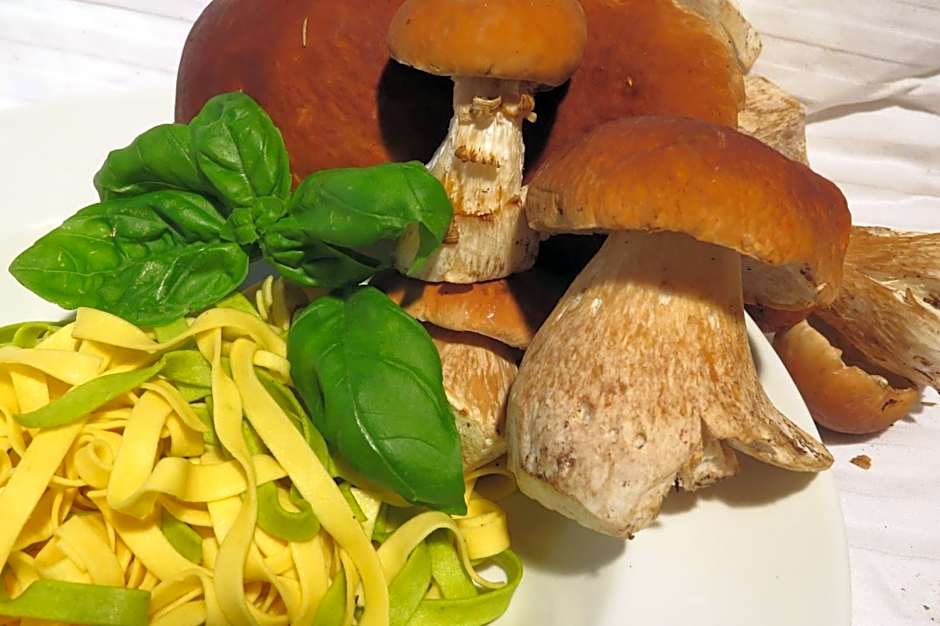 Hotel Saarblick Mettlach