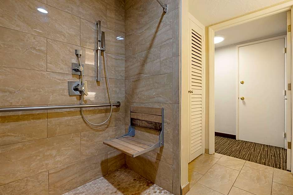Photo 1 of 14 of 1 King Bed with Sofabed Suite, Mobility Accessible, Bathtub