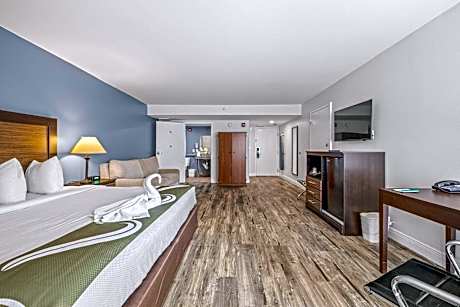 King Room - Disability Access/Non-Smoking