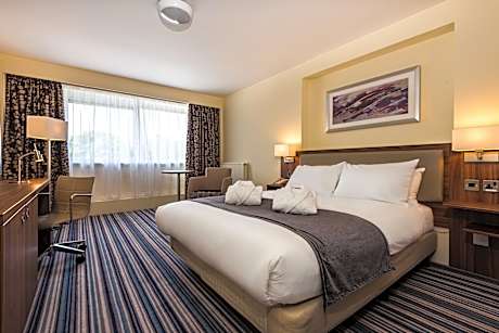 1 Double Standard Sofa Bed