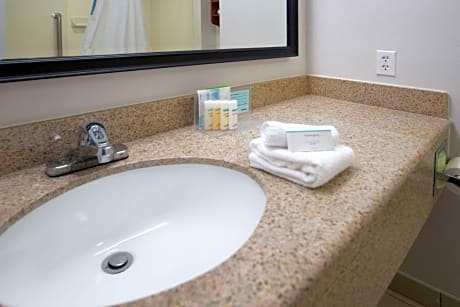 1 King Mobility Access Roll In Shower Nosmok