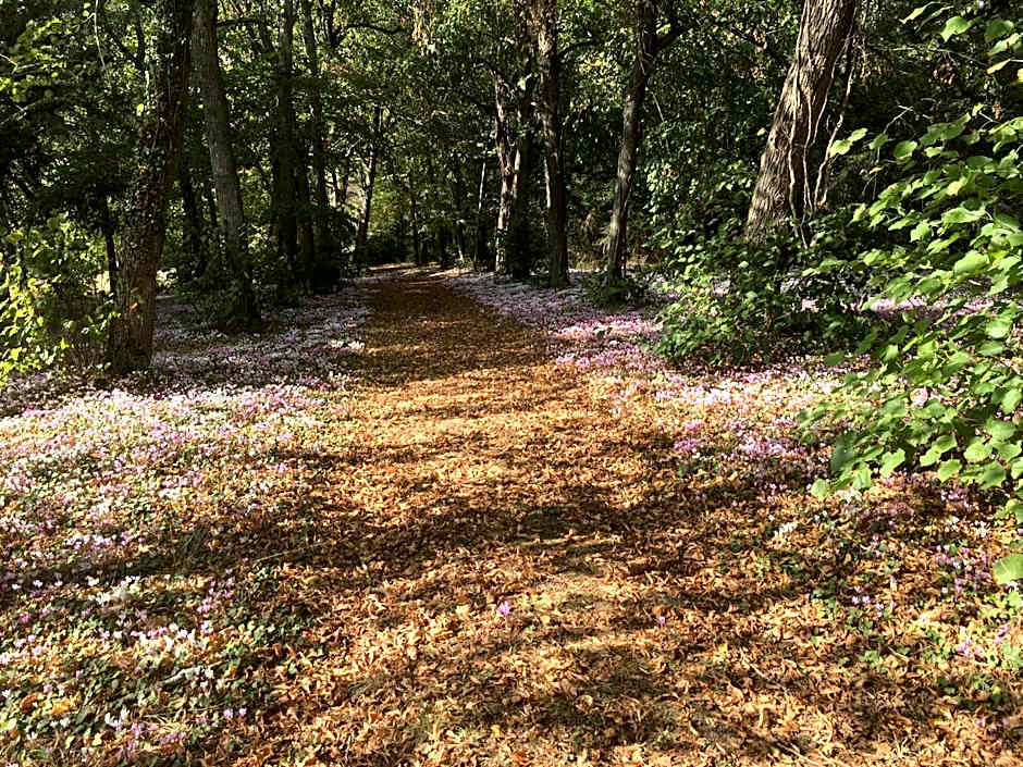 Château de Praslins