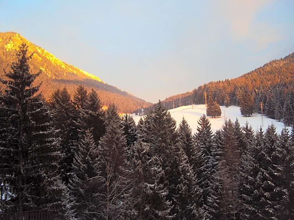 Hotel Des Alpes