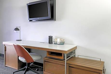 Room, 1 King Bed with Sofa bed (Mobility Accessible, Roll-In Shower)