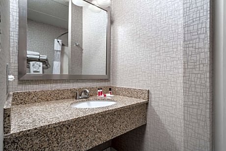 1 Queen Bed Non-Smoking