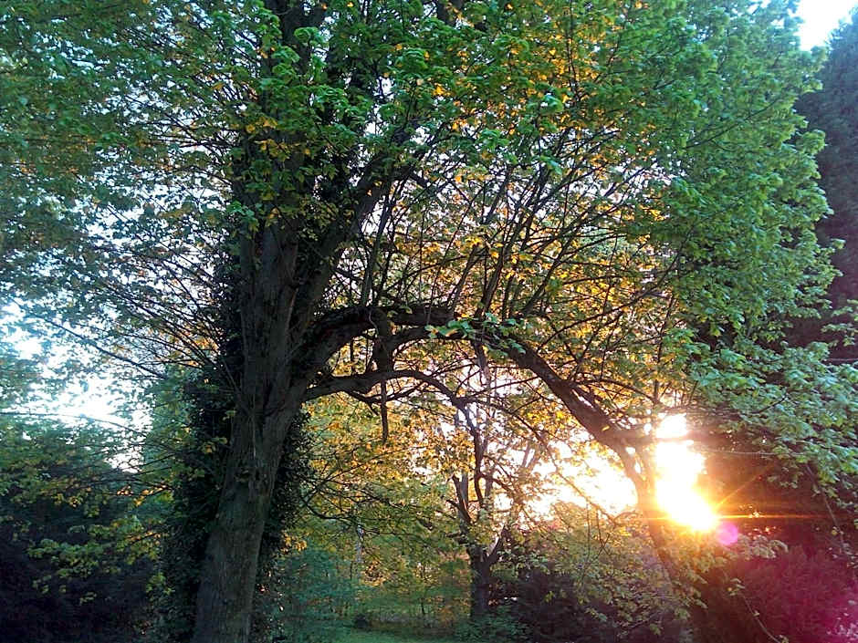 B&B Chatelet Cremers