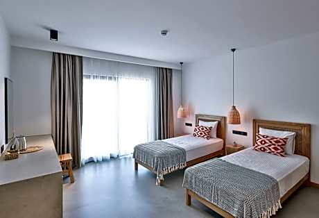 Standard Twin Room with Garden View