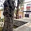 HOTEL BOUTIQUE CASA DEL BOSQUE