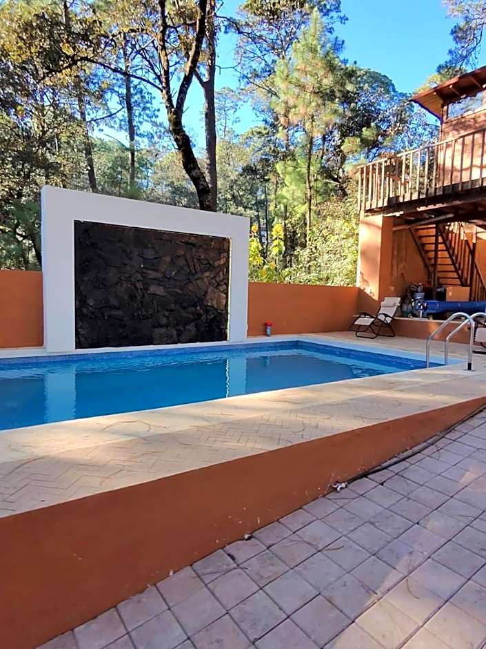 Bosque de Avandaro