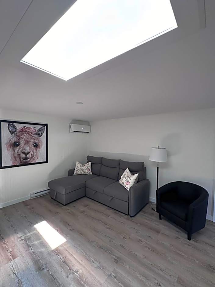 Altitude - magnifique logement