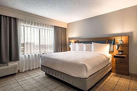 One Bedroom Suite - King