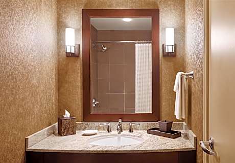 1 King Bed High Floor