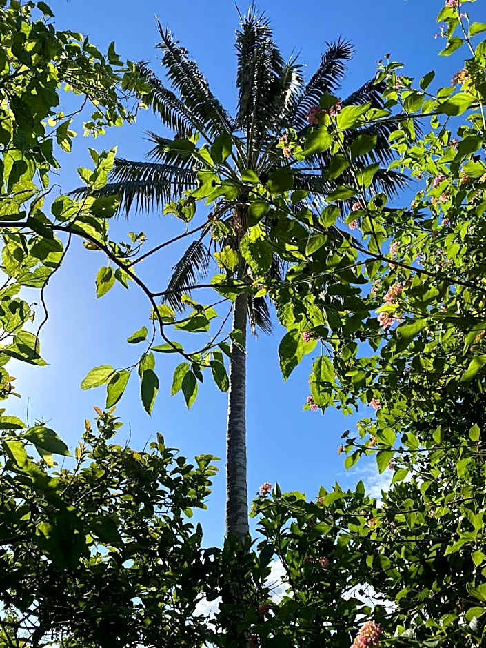 Apartamentos Turisticos Verdemar