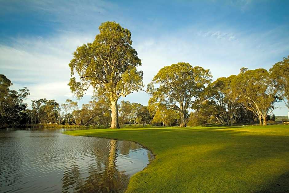 Serafino McLaren Vale