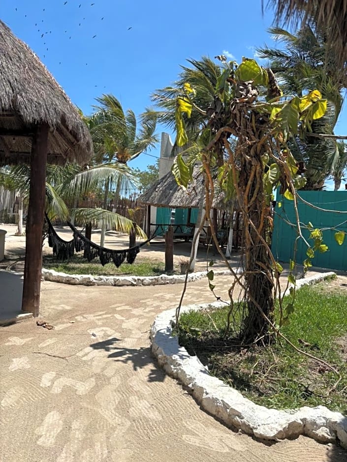 Mayan Mittoz