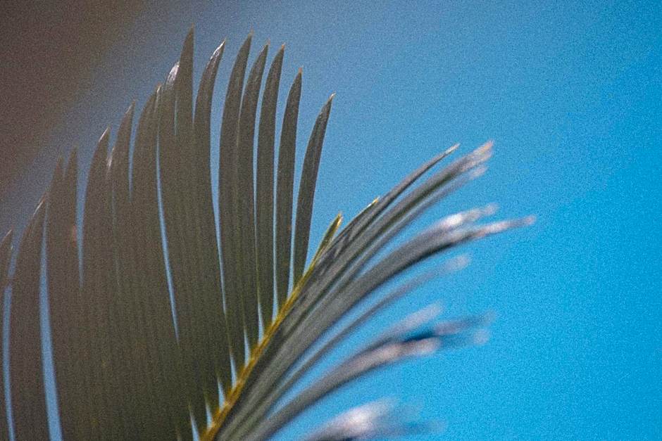 Yara Hotel - Adults Only