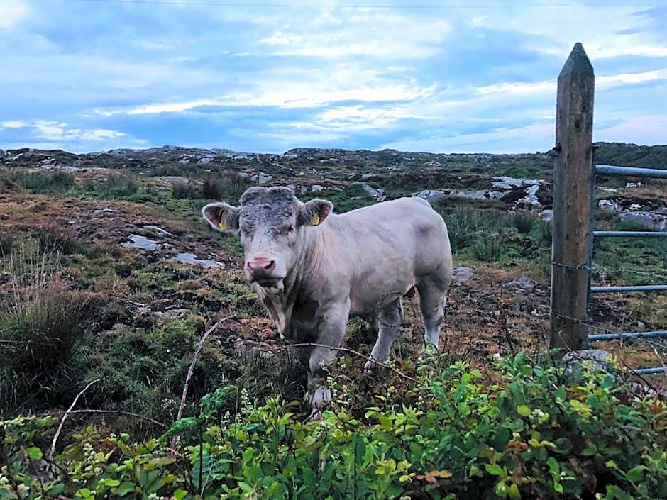 Connemara Sands Hotel & Spa