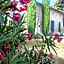 Coeur de Calignac