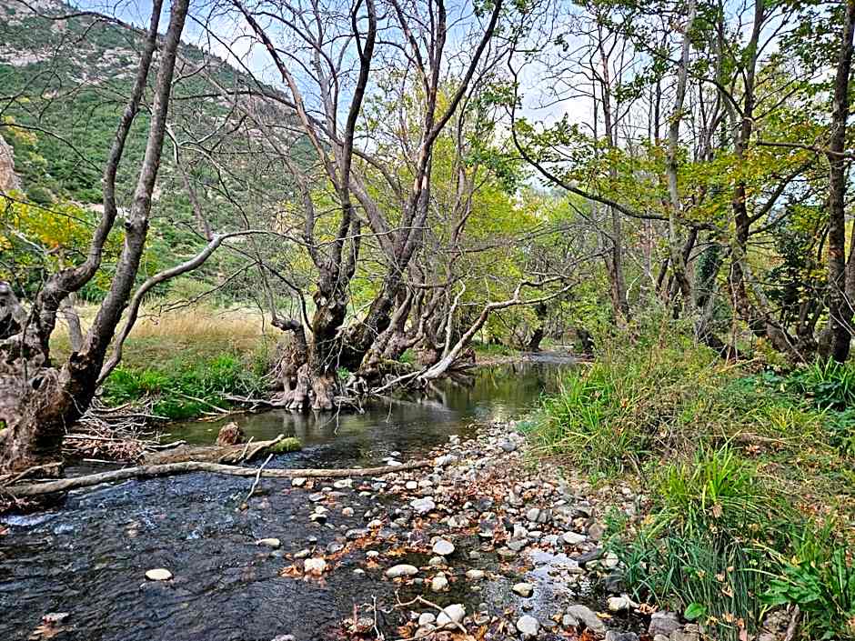 Muntenia Inn Apartments and Suites