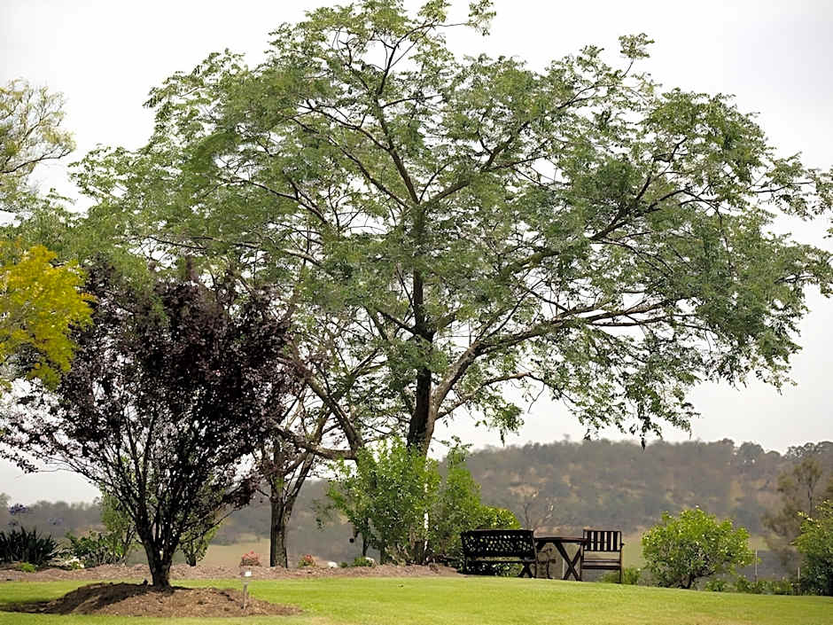 Bluebush Estate