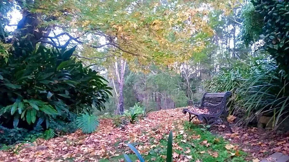 Forest view bungalow