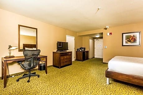 1 King Accessible Room with Bathtub