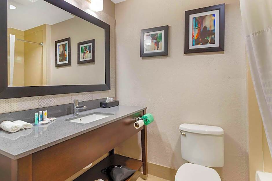 Comfort Suites Shenandoah-The Woodlands