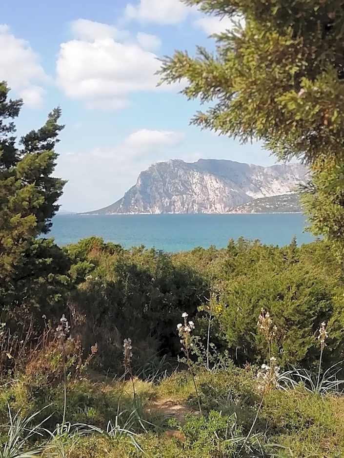 Frina di Mari b&b