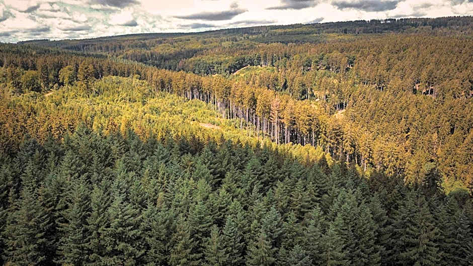 Marienhöh - Hideaway & Spa