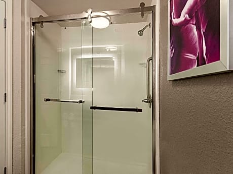 1 King Bed Suite Non-Smoking