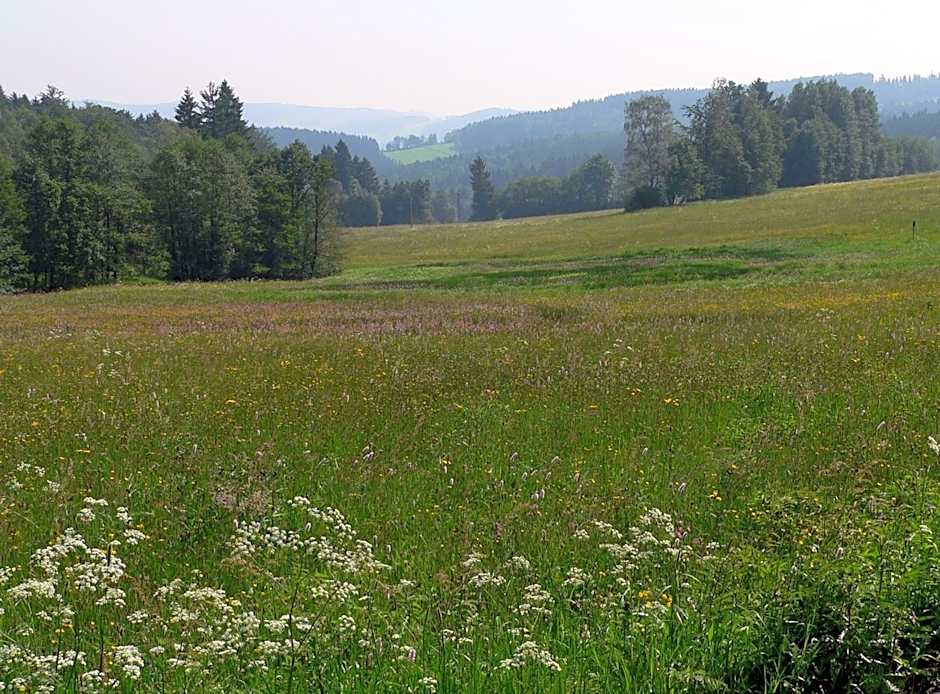 Hotel & Restaurant Danelchristelgut