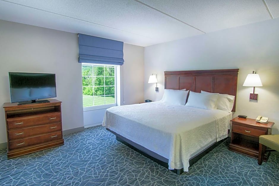 Hampton Inn By Hilton & Suites Berkshires-Lenox