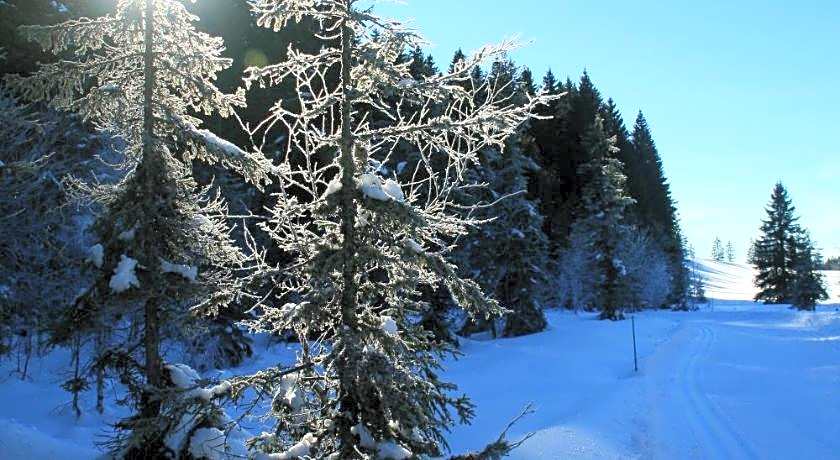 Au Coeur du Lapidaire