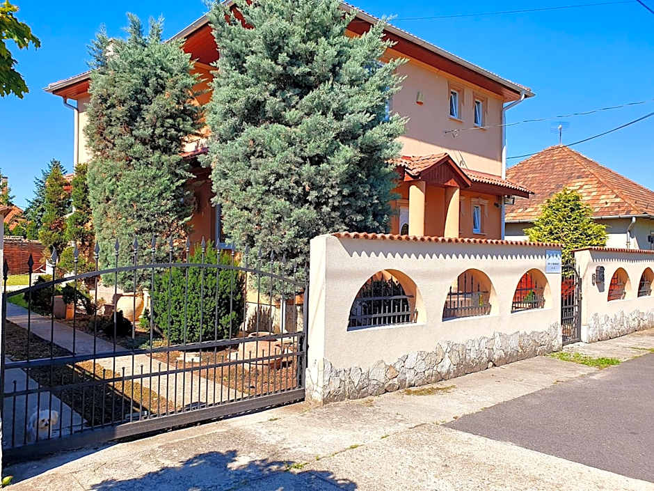 Airport Luxury Apartman 42