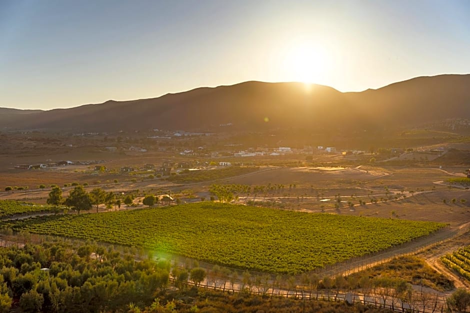 Banyan Tree Veya, Valle de Guadalupe